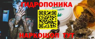 гидра Новодвинск