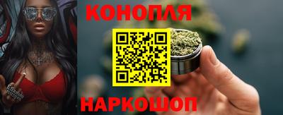 стаф Новокубанск