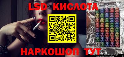 гидра Новодвинск
