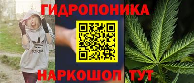 стаф Новокубанск