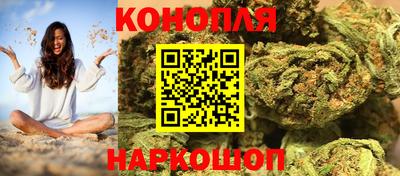 стаф Новокубанск