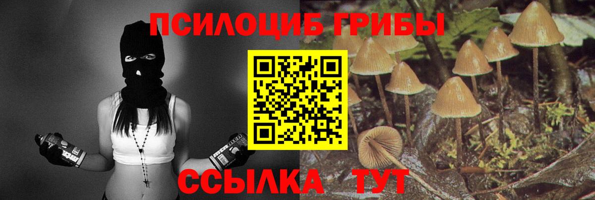 Галлюциногенные грибы мухоморы  Вход с VPN  Галлюциногенные грибы мухоморы  Гулькевичи 